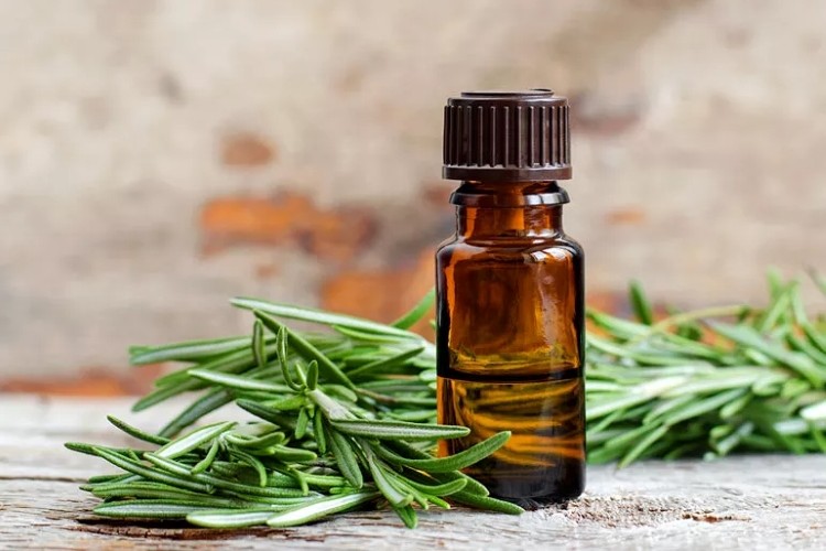 طرز استفاده روغن رزماری برای مو