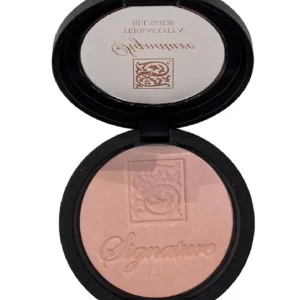 رژگونه سیگنیچر Signature شماره 64 حجم 10 گرم