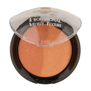رژ گونه سیگنیچر مدل Terracotta حجم 18 گرم