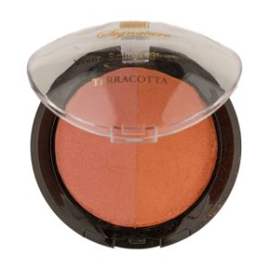 رژ گونه سیگنیچر مدل Terracotta حجم 18 گرم